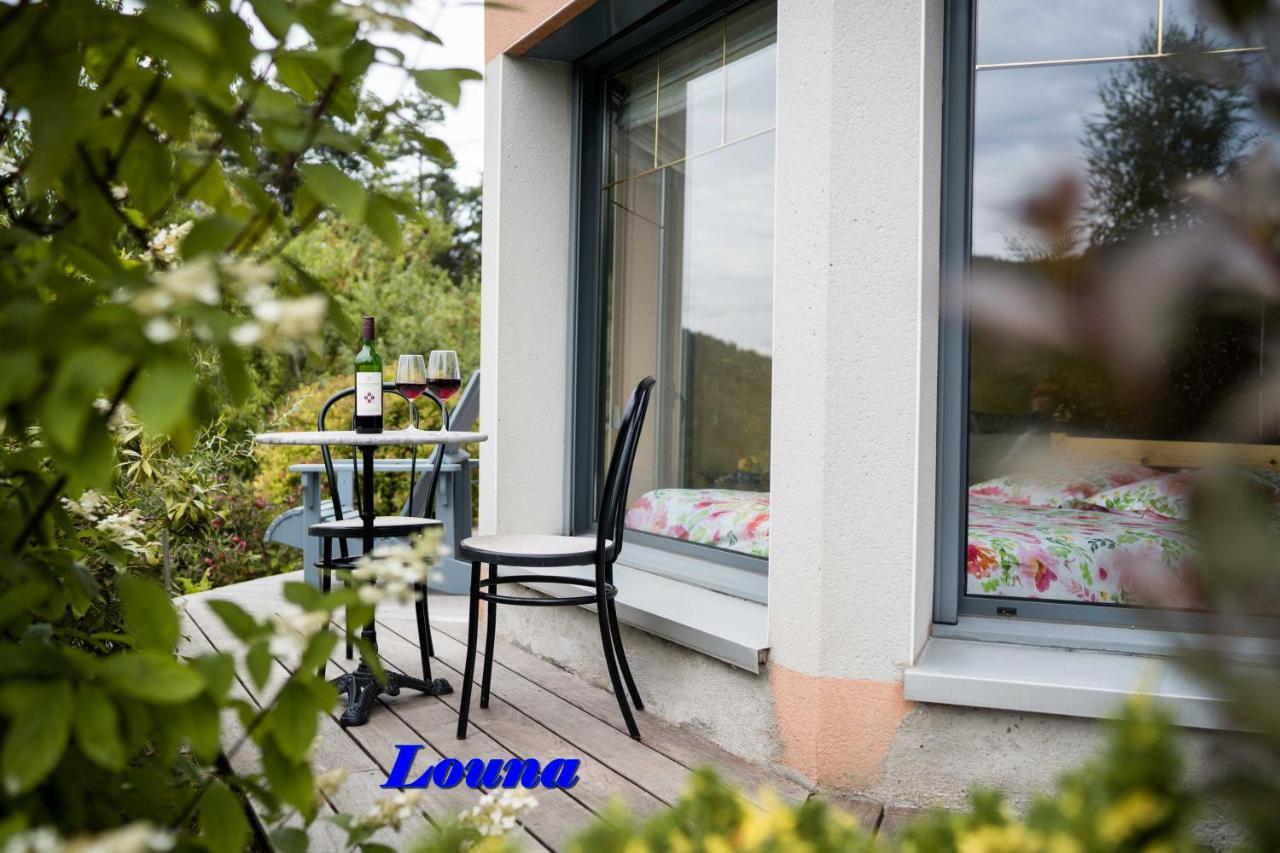 Appartements 5 Personnes Maya Et Louna クソンリュプト・ロンジュメール エクステリア 写真